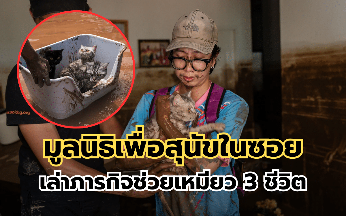 มูลนิธิเพื่อสุนัขในซอย