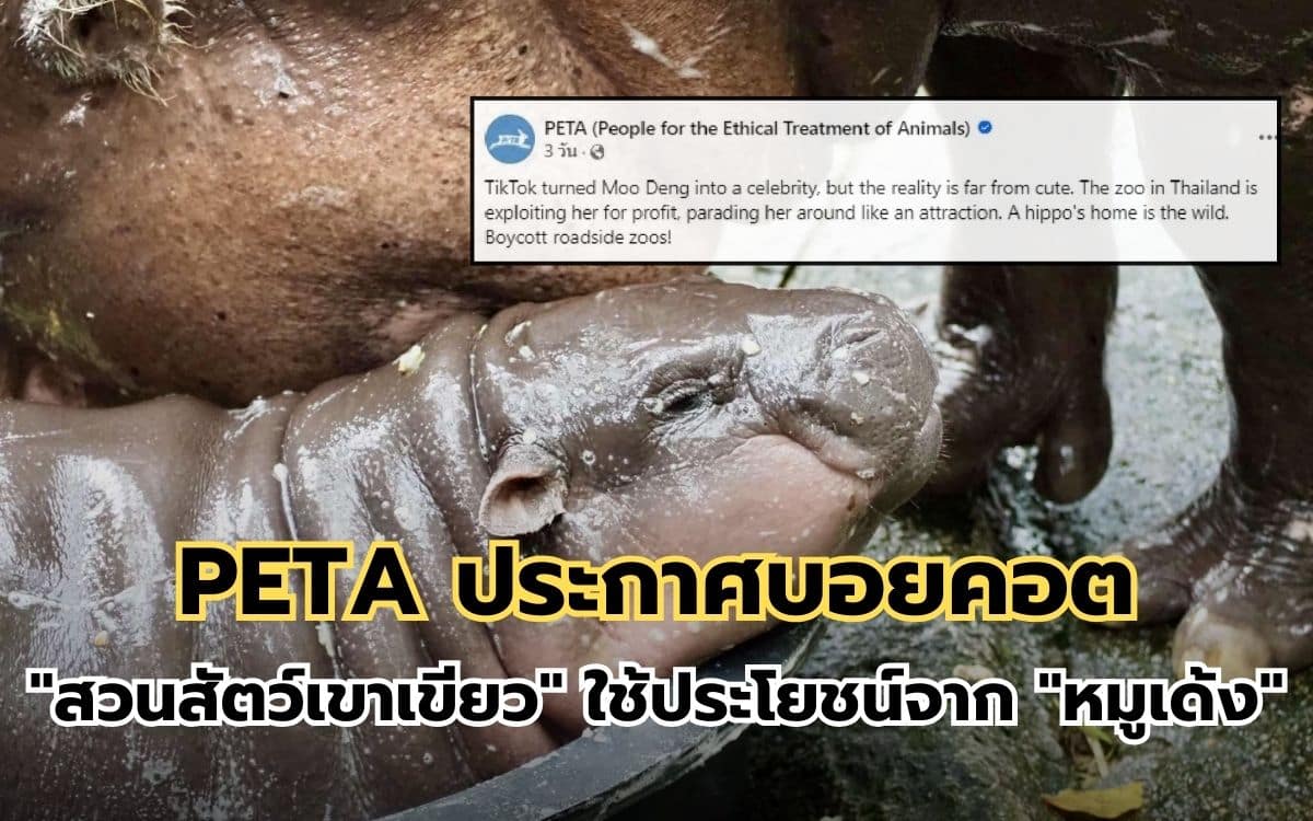 PETA ประกาศบอยคอต